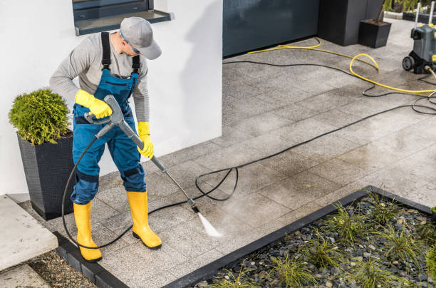 Best Local Pressure Washing Services  in Westover, WV